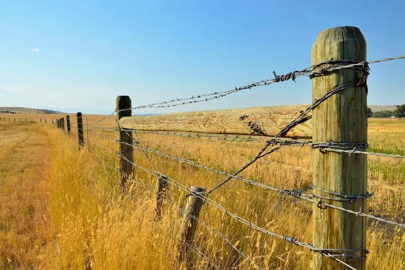 Thumbnail Kawat Duri Galvanis (Barbed Wire) 2